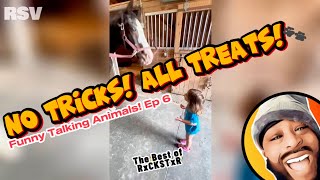 Best of RxCKSTxR Funny Talking Animal Voiceovers Compilation Ep 6