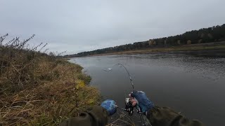 видео: Рыбалка осенью на спиннинг на верхней Волге в Тверской области картинка: Рыбалка осенью на спиннинг на верхней Волге в Тверской области
