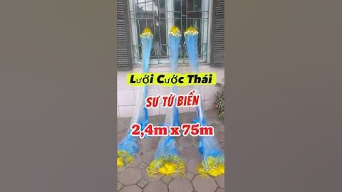 Cao 2,4m x 75m 12cm /2.5. Lưới Cước Thái Sư Tử Biển . Túi sâu #luoidanhcaadau
