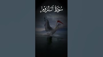 تلاوة_خاشعة #اكسبلور #تيك_توك