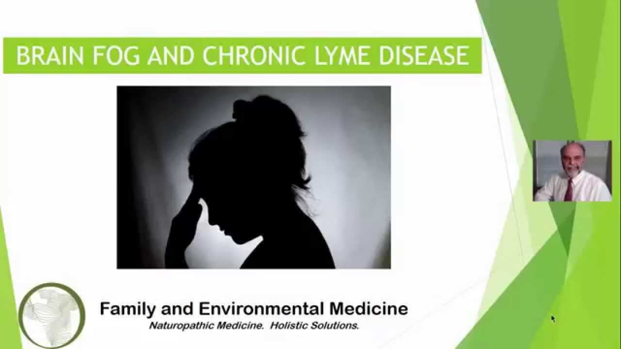 Brain Fog and Chronic Lyme Disease YouTube