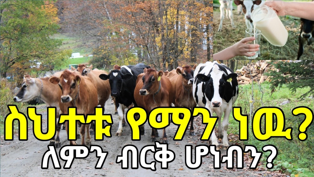 ስህተቱ የማን ነው? ወተት መጠጣት ለምን ብርቃቸው ሆነ? ይህ ሁሉ ሀብት እያለ የተሻሻሉ የወተት ላሞችን አለማርባት አሳዝኖኛል! የአገር በቀል ዶሮዎቹስ?