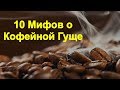 10 Мифов о Пользе Кофейной Гущи. Или Как не Надо Использовать Кофейную Гущу