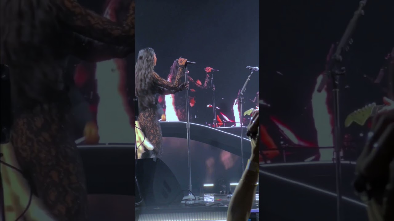 Dua Lipa-COVER don't dream it's over 