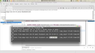 30  JAVA Networking InetAddresses 31 Java Networking Inetaddresses