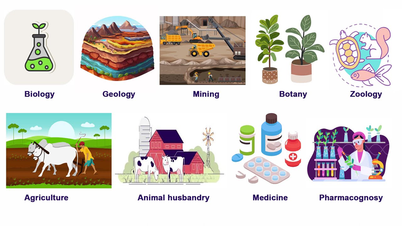 Practical Classification with CC 6: Classes Biological Sciences 
