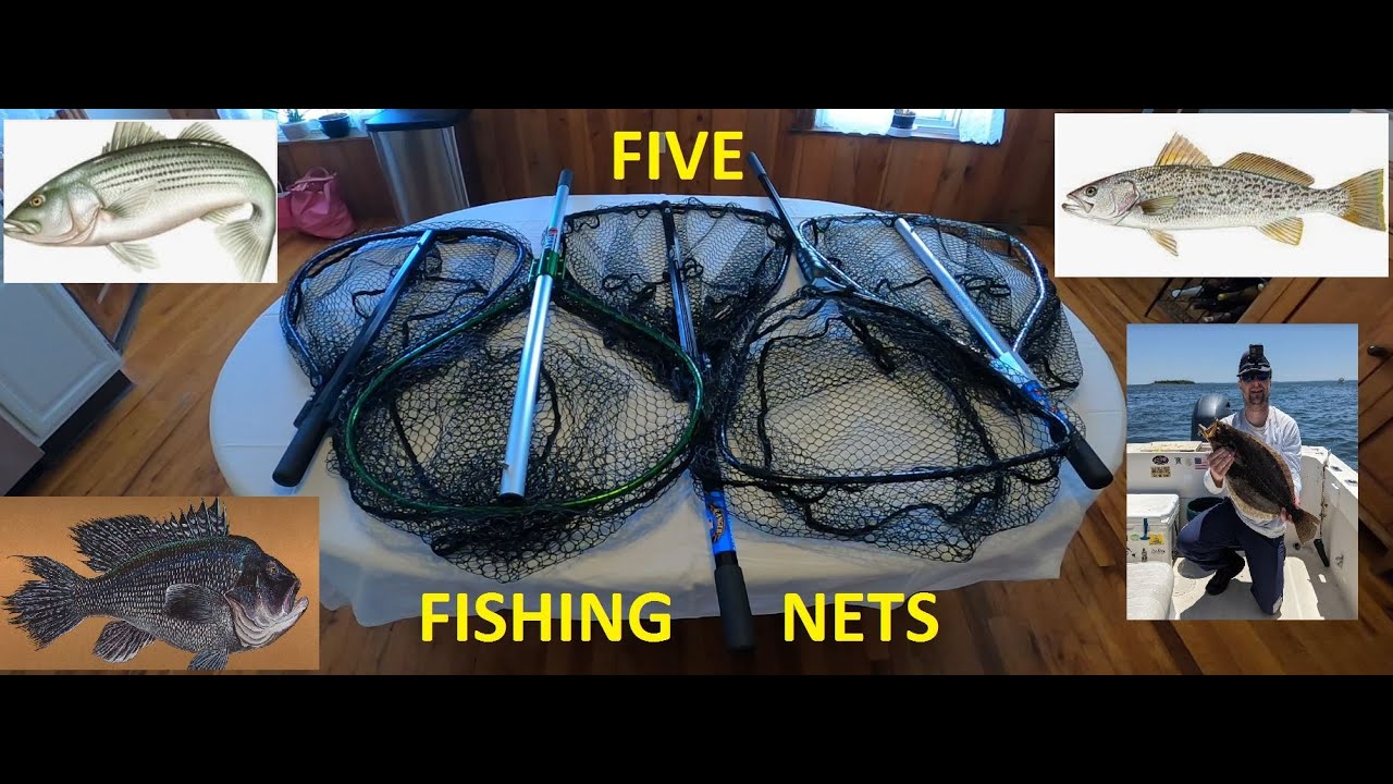 Fishing Nets - Fluke (Summer Flounder) 