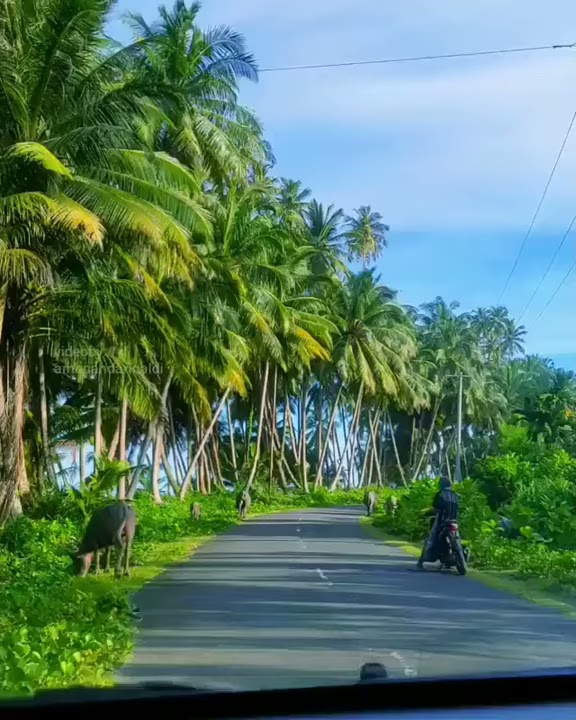 Story' Wa | Seumeulu Aceh indonesia