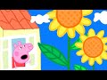 Peppa pig franais  des fleurs gantes dans le jardin de peppa  dessin anim pour bb