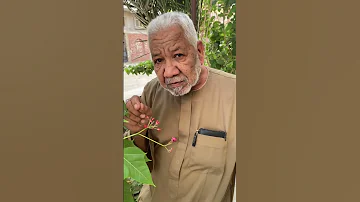 رجعوني تاني عيل 
