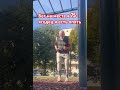 Бег идёт не ради славы - ради жизни на земле