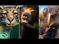 Animal Showcase! All The New Southeast Asia Pack Animals! | Planet Zoo Southeast Asia Pack