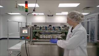 Automated Pharmaceutical Packaging System