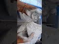 Pure Soft cement sand #crunchycrumbles