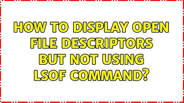 Unix & Linux: How to display open file descriptors but not using lsof command? (2 Solutions!!)