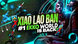 Xiao Lao Ban IS BACK! #1 EKKO WORLD *NO R AT LEVEL 6*