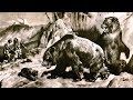 Пещерный медведь (рассказывает палеонтолог Ярослав Попов)