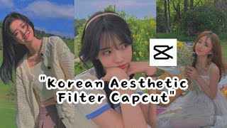 Capcut Tutorial || Korean Aesthetic Filter #capcut screenshot 4