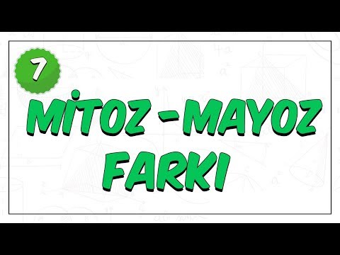 7. Sınıf Fen Bilimleri | Mitoz - Mayoz Farkı