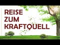 Reise zur inneren quelle der kraft angeleitete meditations mit darshini yoga vidya ashram