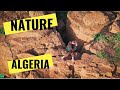 Nature Of Algeria صعدنا أعلى الجبل فقط لإظهــار جمــال طبيعــة الجزائـــر 