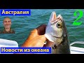 Рыбалка. Природа Австралии. Новости из океана, выпуск 2. (видео 137)