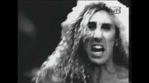 Widowmaker (Dee Snider) - Long Gone