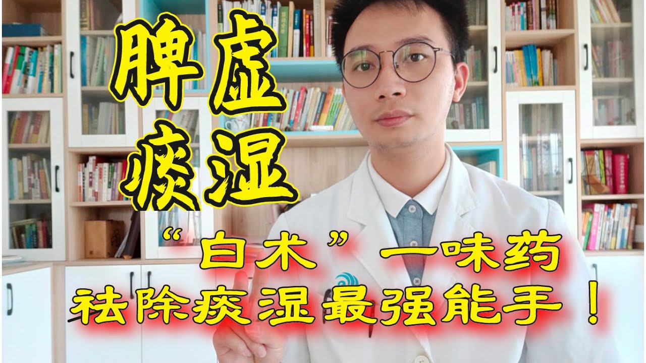 脾虚痰湿、痰湿重百病生！教你一味“白术”，湿气最强对手！收藏【英德中医何医生】