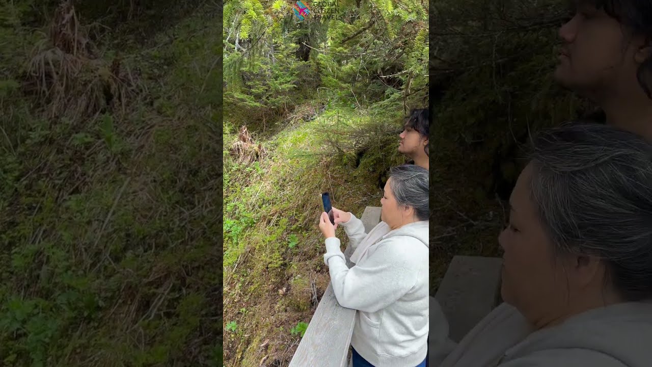 Tongass National Forest, Alaska #shorts