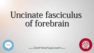 Uncinate fasciculus of forebrain   Anatomy of the Brain   SeeHearSayLearn 🔊