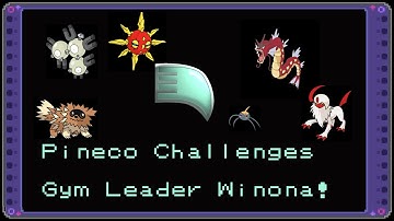 The Feather Badge on Pokemon Omega Ruby! 6th badge Shiny Route Quest!