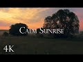 Calm Sunrise 10 Hours Birds Singing In The Morning Relaxing Nature Sounds Soothing 4K Nature 