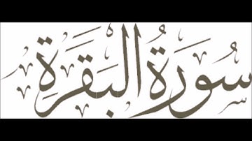 Surah Al-Baqara Pashto Lafzi Tarjuma By Mufti Mashhood Ruku 20 of 40 سورة البقرة