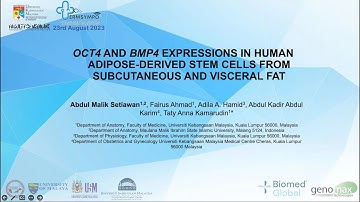OCT4 AND BMP4 EXPRESSIONS IN HUMAN ADIPOSE-DERIVED STEM CELLS FROM SUBCUTANEOUS AND VISCERAL FAT