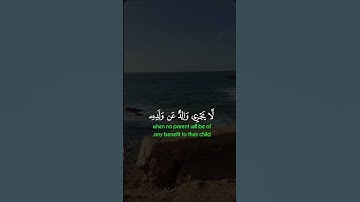 ما تيسر من الذكر الحكيم تلاوة خاشعة مؤثرة مبكية 😭😭🙏💔