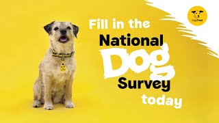 The nation's dogs need you!  Fill in the National Dog Survey | Dogs Trust
