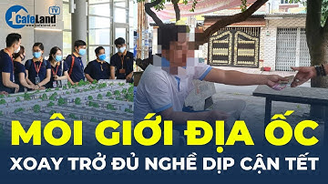 Làn sóng GIẢM NHÂN SỰ BĐS trầm trọng, môi giới XOAY TRỞ ĐỦ NGHỀ dịp cận Tết | CafeLand