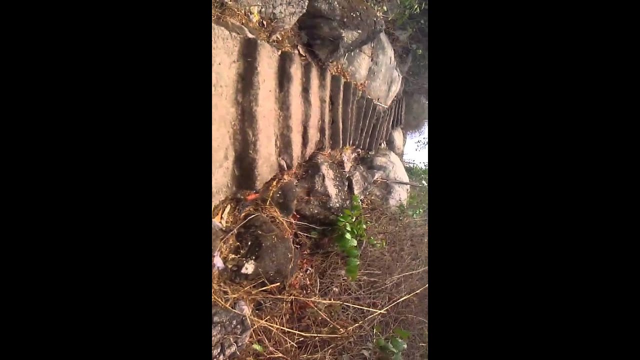 welcome to deborah mountain of mercy