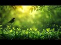🦚🦜🌸Nature Ki Khoobsurti | Beautiful Nature View 🌿🌳🌼❤️‍🔥#Nature #NatureLovers #BeautifulNature 