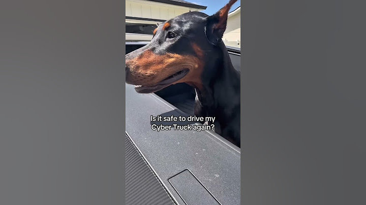 Is it safe to drive my cyber truck again? #trumpvsmusk #tesla #cybertruck #dogs