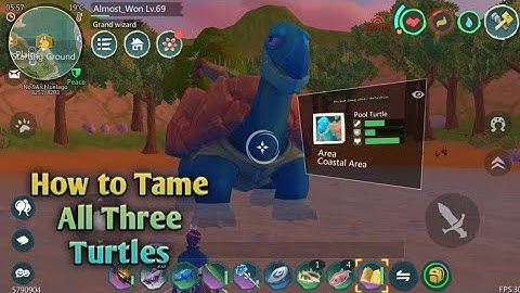 Taming Turtle, Pool Turtle, Lava Turtle || Feed And Location || Utopia Origin || Lonedragon