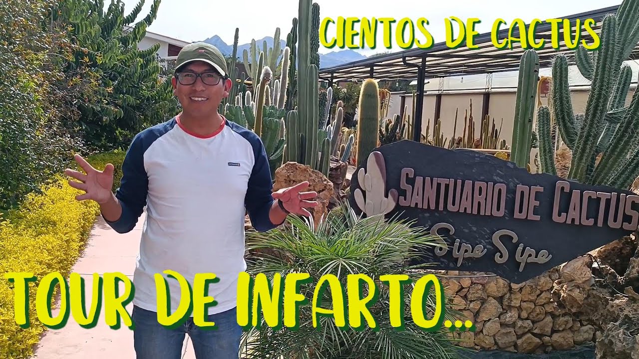 SIPE SIPE, un santuario suculento con cientos de cactus hermosos #tour #colección #santuário