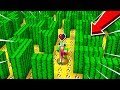 HALF A HEART CACTUS MAZE LUCKY BLOCK RACE!