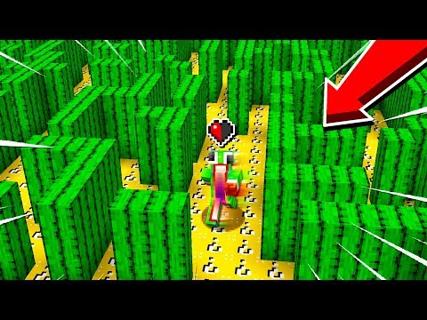 half-a-heart-cactus-maze-lucky-block-race!