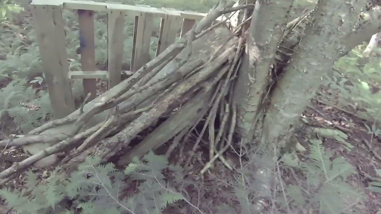 OUR OLD AIRSOFT PLAY AREA (it's where we started) It was a fun little area and it will be missed