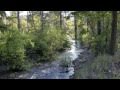 Rattlesnake Creek Side Channel, June 2011