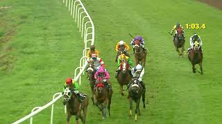 RACE NO : 78 - SUNCHE DREAMS WINS - The Gold Coast Handicap