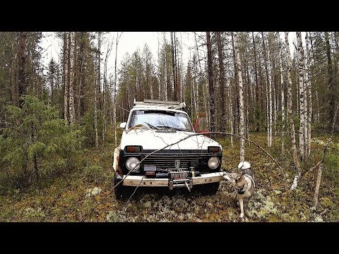 СОБИРАЮСЬ В 'ТАЙГУ' НА СТРОИТЕЛЬСТВО ИЗБУШКИ! ПОКАЗЫВАЮ ВСЁ!