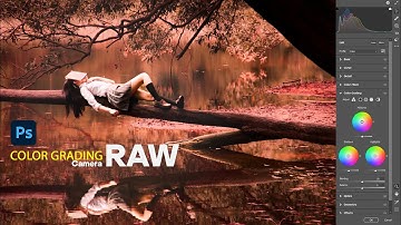 Camera RAW Color Grading IN  Photoshop | Brown Color Ton #photoshop #cameraraw #colorgrading