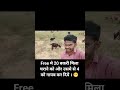 free मे 20 बकरी मिला चराने को और उसमे से 4 को गायब कर दिये ।😁